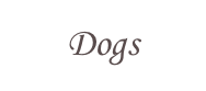 Dogs